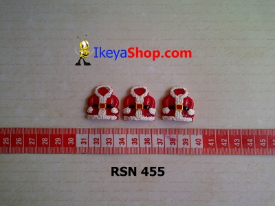 rsn 455  large2